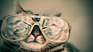 Click to Enlarge

Name: Cat.jpeg
Size: 8 KB