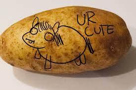 Click to Enlarge

Name: PotatoArt.jpeg
Size: 8 KB