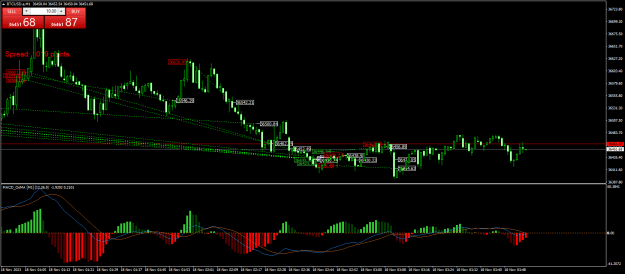 Click to Enlarge

Name: BTCUSD.aM1.png
Size: 26 KB