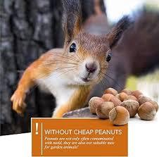 Click to Enlarge

Name: peanuts.jpeg
Size: 9 KB
