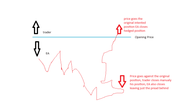 Click to Enlarge

Name: hedge ea.png
Size: 6 KB