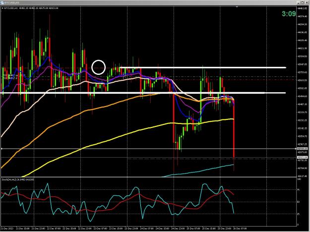 Click to Enlarge

Name: 6 gold 2.jpg
Size: 296 KB