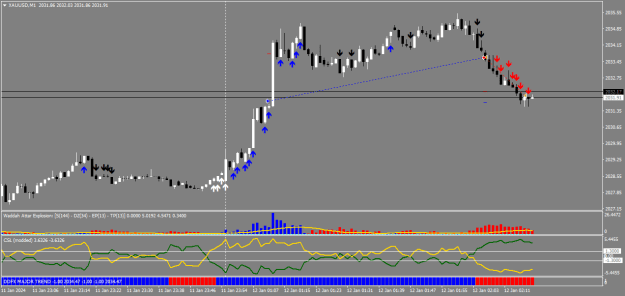 Click to Enlarge

Name: XAUUSDM1.png
Size: 18 KB
