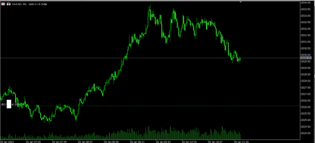 Click to Enlarge

Name: gold.png
Size: 14 KB