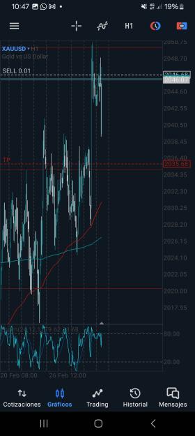 Click to Enlarge

Name: Screenshot_20240301_104743_MetaTrader 5.jpg
Size: 581 KB