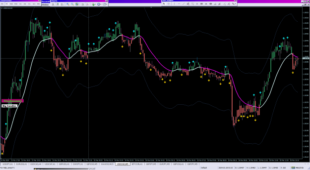 Click to Enlarge

Name: Price Basement Simple Grail_18-03-2024.png
Size: 45 KB