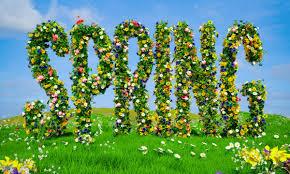 Click to Enlarge

Name: spring.jpeg
Size: 25 KB
