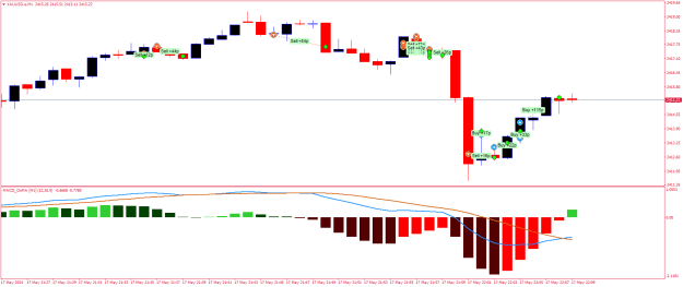 Click to Enlarge

Name: XAUUSD.aM1.png
Size: 16 KB