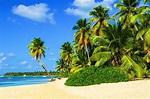 Click to Enlarge

Name: th.Carribean .2222.jpg
Size: 11 KB