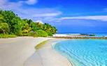 Click to Enlarge

Name: th.Carribean.jpg
Size: 7 KB