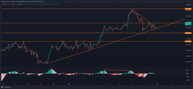 Click to Enlarge

Name: XAUUSD_2024-07-09_19-55-15.png
Size: 26 KB
