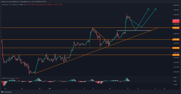 Click to Enlarge

Name: XAUUSD_2024-07-12_07-36-49.png
Size: 27 KB