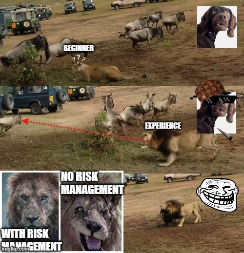 Click to Enlarge

Name: 8z8kzi.jpg
Size: 100 KB