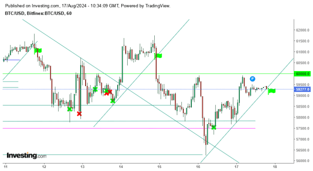 Click to Enlarge

Name: btc chart.png
Size: 18 KB