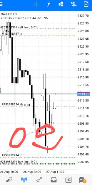Click to Enlarge

Name: Screenshot_20240827_130531_MetaTrader 4~2.jpg
Size: 313 KB