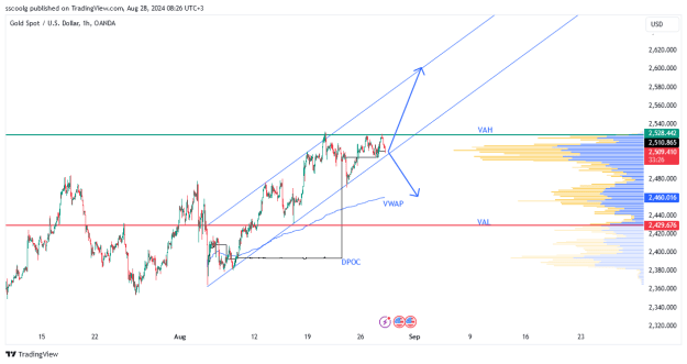 Click to Enlarge

Name: XAUUSD_2024-08-28_08-26-34.png
Size: 21 KB