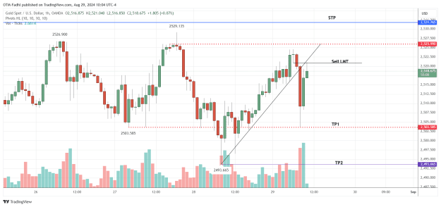 Click to Enlarge

Name: XAUUSD_2024-08-29_10-04-51.png
Size: 38 KB
