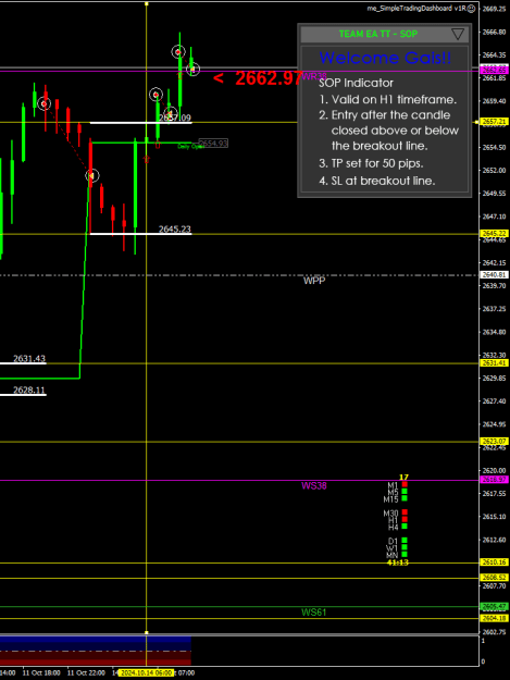 Click to Enlarge

Name: XAUUSD.sH1.png
Size: 19 KB