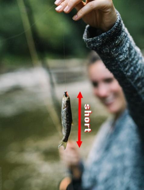 Click to Enlarge

Name: Short catch v2.0.jpg
Size: 53 KB