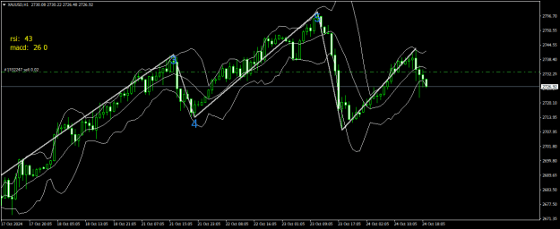 Click to Enlarge

Name: XAUUSDH1.png
Size: 21 KB