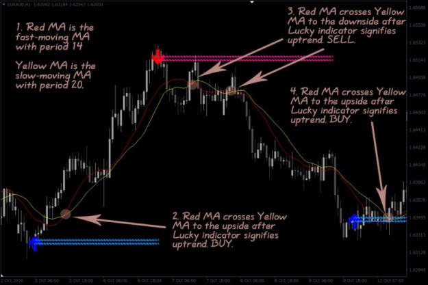 Click to Enlarge

Name: lucky_reversal_indicator_4-768x512.jpg
Size: 97 KB