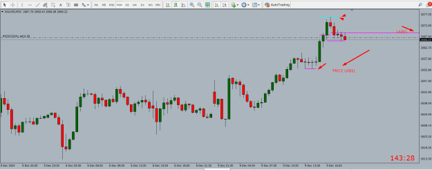 Click to Enlarge

Name: PRICE LABEL.png
Size: 23 KB