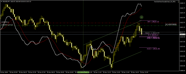 Click to Enlarge

Name: XAUUSDM5.png
Size: 22 KB