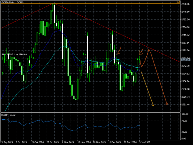 Click to Enlarge

Name: GOLDDaily 03-01-2025.png
Size: 15 KB