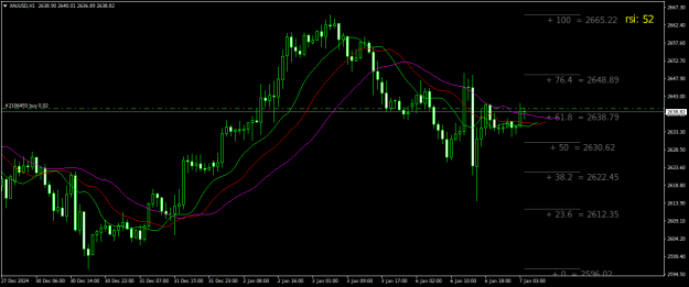 Click to Enlarge

Name: XAUUSDH1.png
Size: 21 KB