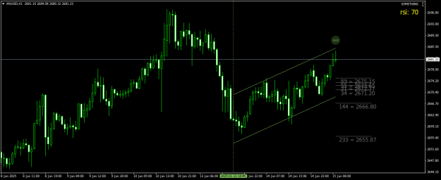 Click to Enlarge

Name: XAUUSDH1.png
Size: 17 KB