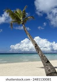 Click to Enlarge

Name: white-sand-beach-leaning-palm-260nw-2481130081.jpg
Size: 17 KB