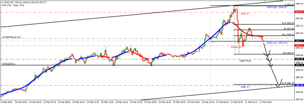 Click to Enlarge

Name: gold1.png
Size: 16 KB