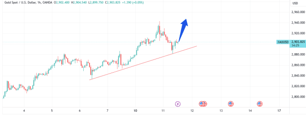 Click to Enlarge

Name: XAUUSD_2025-02-11_20-55-32.png
Size: 34 KB