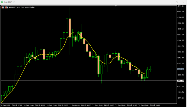 Click to Enlarge

Name: screenshot.png
Size: 9 KB