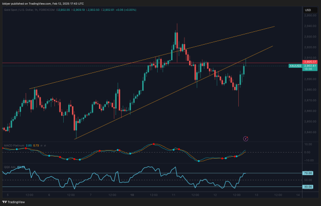 Click to Enlarge

Name: XAUUSD_2025-02-12_17-43-04.png
Size: 72 KB