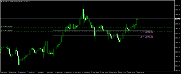 Click to Enlarge

Name: XAUUSDH1.png
Size: 13 KB