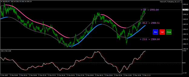 Click to Enlarge

Name: XAUUSDM1.png
Size: 20 KB
