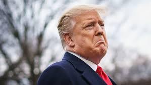 Click to Enlarge

Name: sad donnie.jpg
Size: 6 KB