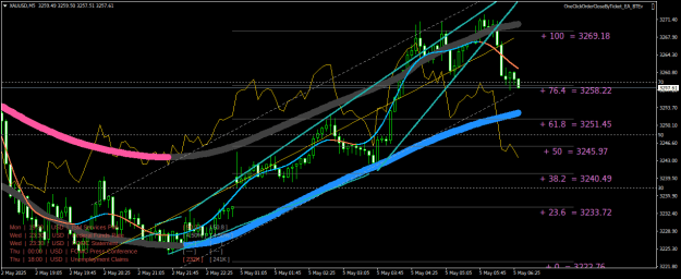 Click to Enlarge

Name: XAUUSDM5.png
Size: 33 KB