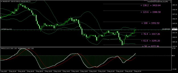 Click to Enlarge

Name: XAUUSDM15.png
Size: 23 KB