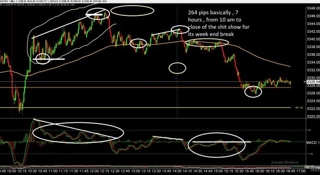 Click to Enlarge

Name: gold 6 .jpg
Size: 448 KB
