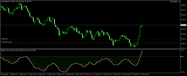 Click to Enlarge

Name: XAUUSDM1.png
Size: 15 KB