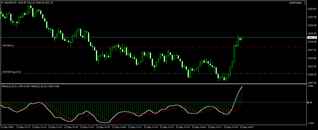 Click to Enlarge

Name: XAUUSDM1.png
Size: 14 KB