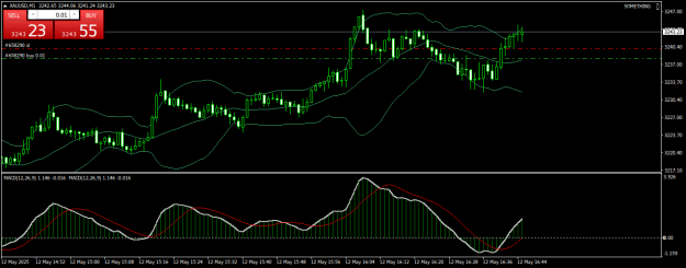 Click to Enlarge

Name: XAUUSDM1.png
Size: 19 KB