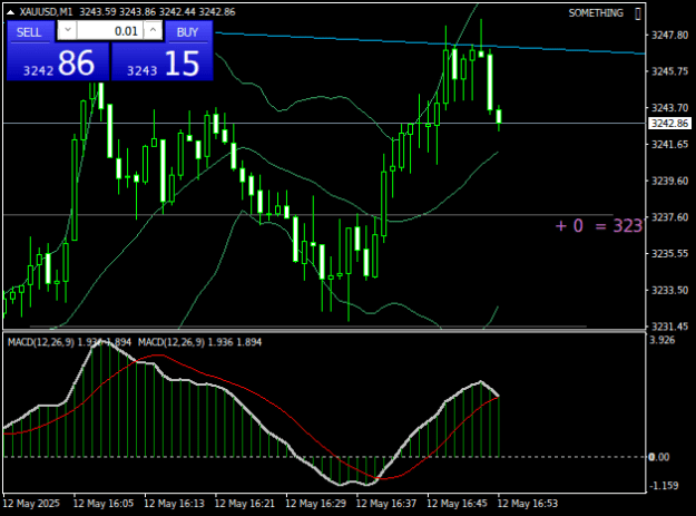 Click to Enlarge

Name: XAUUSDM1.png
Size: 14 KB