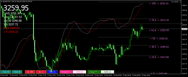 Click to Enlarge

Name: XAUUSDM15.png
Size: 28 KB