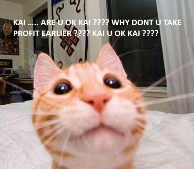 Click to Enlarge

Name: cat 2.jpg
Size: 84 KB