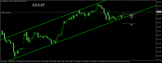 Click to Enlarge

Name: XAUUSDH1.png
Size: 16 KB