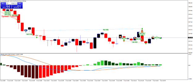 Click to Enlarge

Name: XAUUSD.aM5.png
Size: 19 KB