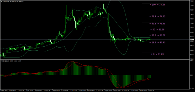 Click to Enlarge

Name: XTIUSDH4.png
Size: 23 KB
